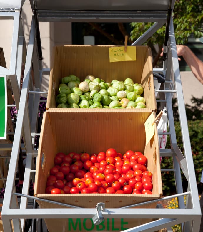 Mattapan Farm Stand - Tomatoes