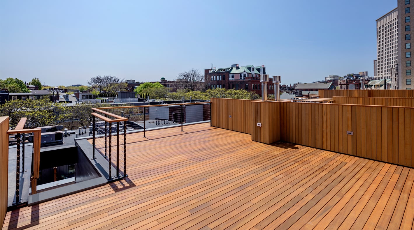 Piedmont Park - Roof